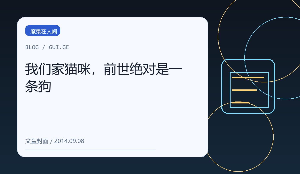 我们家猫咪，前世绝对是一条狗 缩略图